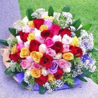 72  Mix Roses Bouquet